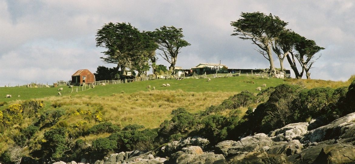 Zero Ownership Whanua Trusts