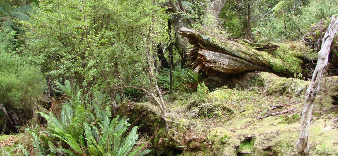 PGF Fund Wilderness
