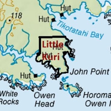 Little Kuri